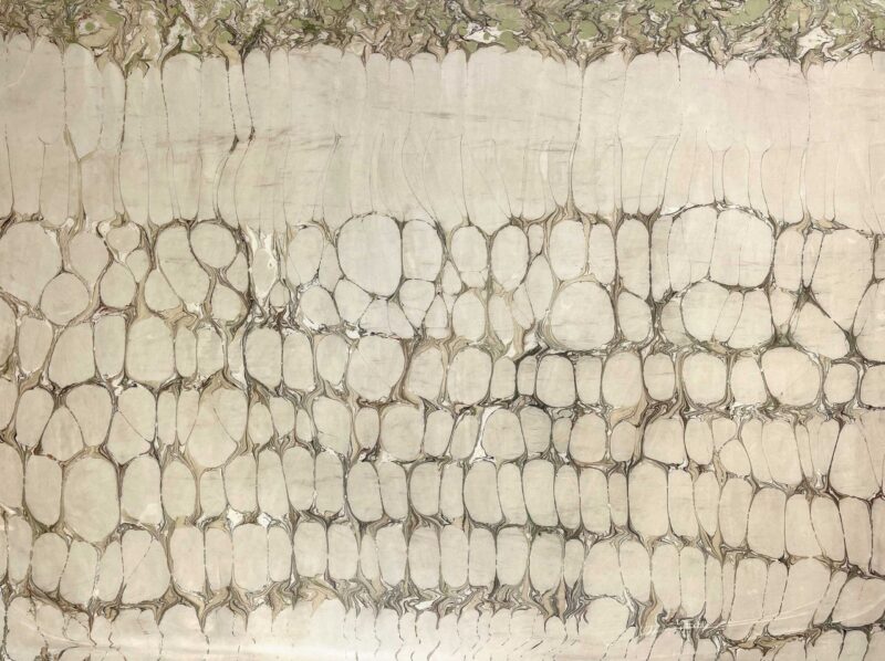 EL MUR