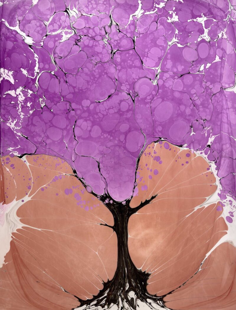 Jacaranda