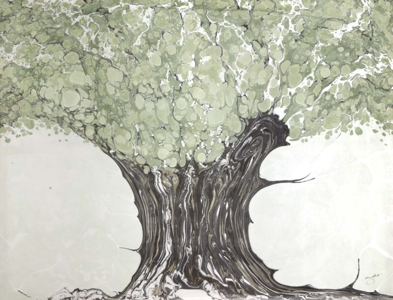 Wisdom Olive Tree