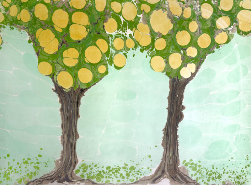 Orange Twin Trees