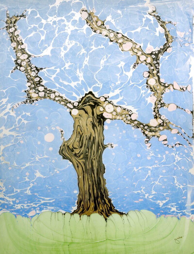 Almond Tree in Full Blossom
