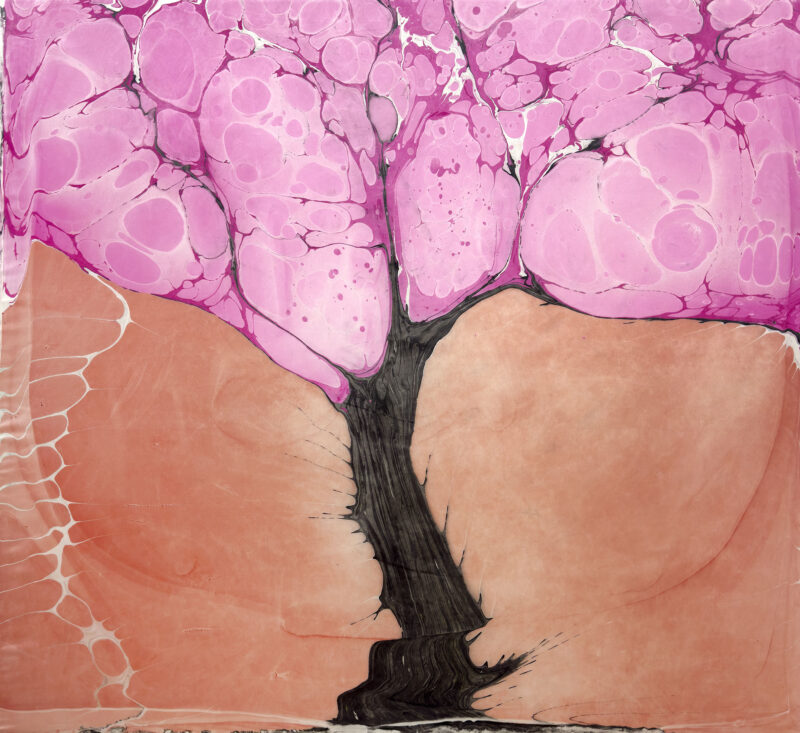 yugure no ki evening twilight tree